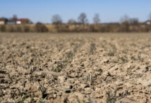 Heuer war der Februar sehr trocken