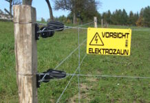 Tipps für den erfolgreichen Weidebeginn