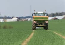 Andüngung Wintergetreide: Nitrat ist heuer das Mittel der Wahl