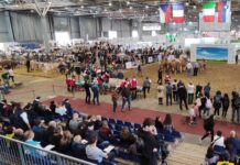 Messe Animal Tech wegen Maul- und Klauenseuche verschoben