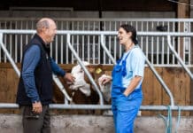 Anmeldefrist für die Summer School VetINNSights läuft bis 25. April