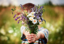 NÖ Card zum Muttertag