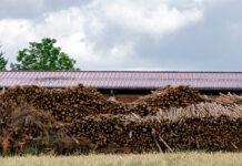 Holzmarkt April ´25: Flaute bei Energieholz