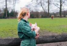 Außerfamiliäre Hofübernehmer gesucht: Filmautor des BR plant neuen Dokumentarfilm