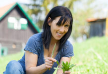 Frühlingskräuter: Gesundes aus dem Garten
