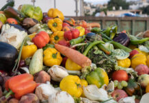 Erfolgsprojekte gegen die Verschwendung von Lebensmitteln gesucht