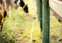 Mein gutes Recht: Ordnungsgemäß zäunen