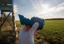 Neue (alte) Maßnahmen gegen Biber und Beutegreifer