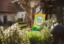 Bio-Markt entwickelt sich positiv