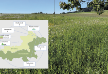 Wirtschaftlich und zugleich biodivers – ist das möglich?