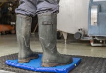 Zehn Regeln gegen MKS-Einschleppung