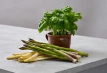 Saisonstart für österreichischen Spargel