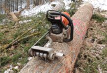 Rindenritzen gegen den Borkenkäfer