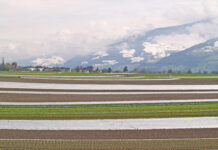Wie geht es den Obst- und Gemüsebauern in Tirol?