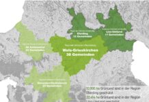 „Bald haben wir mehr geschützten Grünraum als gewidmetes Bauland“