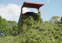 So hat Österreich siliert