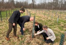 Züchtung gibt Hoffnung