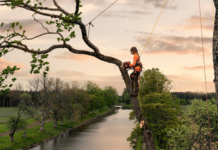 Husqvarna: Umsatz und Betriebsergebnis gingen zurück