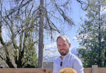 Alpakazucht am Wolfgangsee