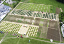 Wieselburger Messe: Feldtag „Voraus säen“