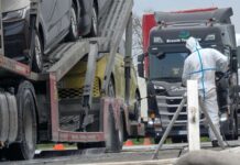 Erste Grenzsperren wegen MKS Richtung Slowakei und Ungarn