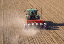 Heuer mehr als 300.000 Hektar Mais