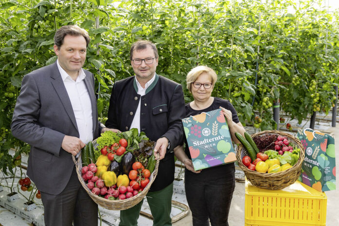 Saisonauftakt Gemüse