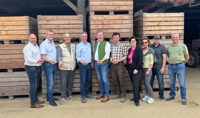 Strasser in der Steiermark