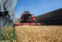 Agri-PV: Größte Anlage im Land ob der Enns