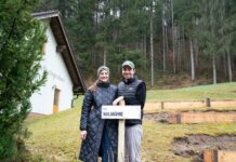 Hier wächst der erste Teegarten Österreichs