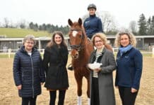 Virtual-Reality-Brille ermöglicht einen Blick auf die Welt aus Pferdesicht