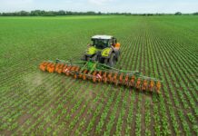 Hacktechnik bis knapp 13 Meter