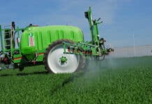 Tipps und Tricks für den Pflanzenschutz im Getreide