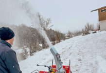 Köppl und Stihl: Kooperation für ein starkes modulares Trägerfahrzeug