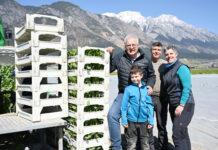 RTK-Signal: Einsatz im Gemüsebau