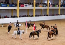 ABZ Lambach: „Heiße Eisen“ in rot-weiß-rot