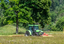 Biodiversitätsflächen: Bald darf gemäht werden