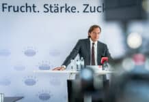 Problemsegment Zucker