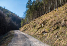 Straßen für und durch den Wald