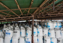 Preissteigerungen bei Mineraldünger wahrscheinlich