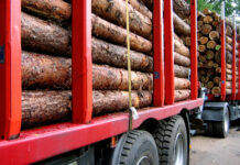 Holzmarkt Mai ´25: Fichte kratzt an der 110-Euro-Marke