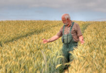 IGP fordert Trendwende