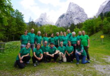 Freiwilliger Einsatz für einen klimafitten Wald im Kaisergebirge