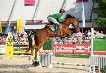 Pferd Wels 2025: Frischer Wind mit neuen Highlights