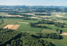 ÖPUL: Allzeithoch bei DIV-Flächen