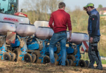 EU-Saatgutrecht: Der Hund liegt im Detail