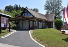 Großkleiner Bronzemaske ist europaweit bekannt