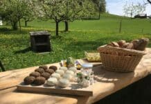 Bio: Markt zieht an, Einstieg schwierig