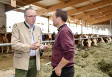 Maul- und Klauenseuche: Maßnahmen enden