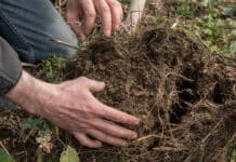 ÖKL-Webinar: Humusaufbau & Drohnen